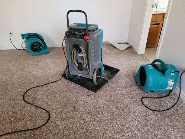 Best Ceiling water damage repair  in Crossville, TN