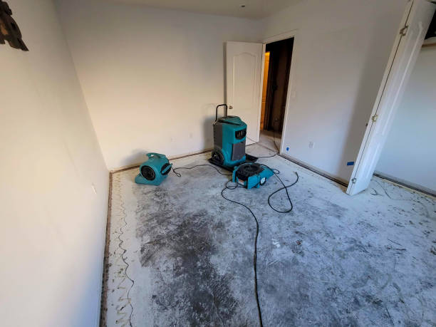 Best Water damage cleanup near me  in Crossville, TN