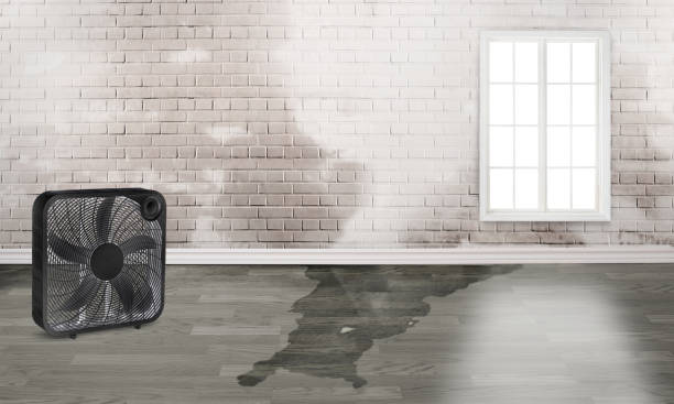 Best Fire Damage Restoration  in Crossville, TN