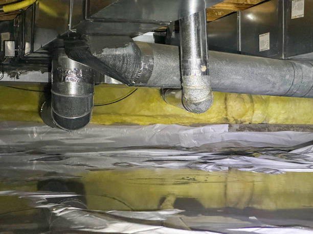 Best Flood damage cleanup  in Crossville, TN